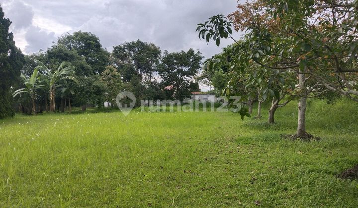 Tanah Di Setiabudi Bandung Utara Harga Dibawah Njop