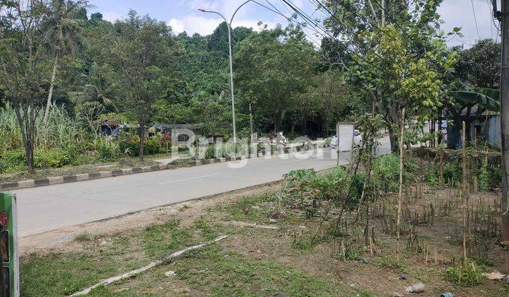 tanah di jual jln Suryanata  1