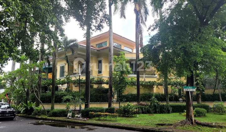 Turun Harga Rumah Mewah Tanah Luas Posisi Hoek di Jalan Maleo Raya Sektor 9 Bintaro