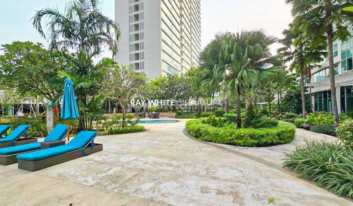 Termurah Apartemen Setiabudi Sky Garden 2br Furnished 2