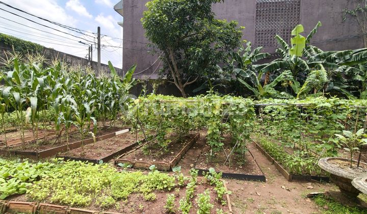 Ready-to-Build Plot in Strategic Ampera Location, South Jakarta Ready-to-Build Plot in Strategic Ampera Location, South Jakarta