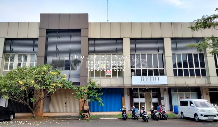 Rental Shop House on Jalur Sutera Timur Alam Sutera Tangerang Rental Shop House on Jalur Sutera Timur Alam Sutera Tangerang