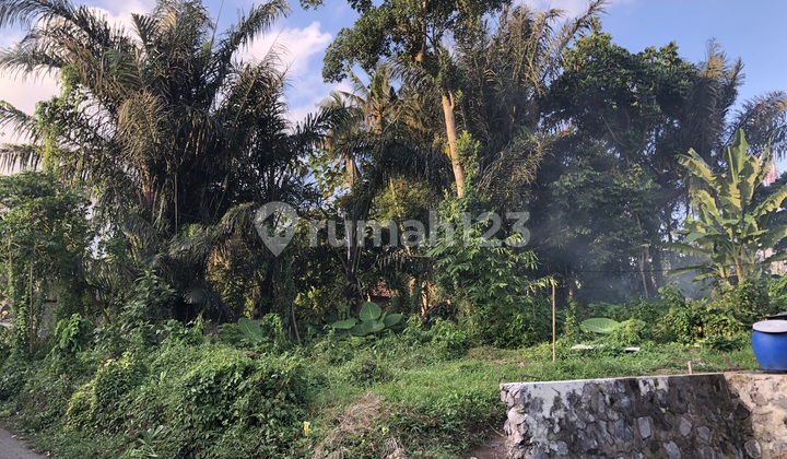 700 m2 Land in Sayan, Gianyar