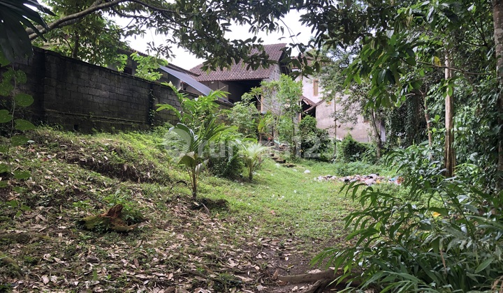 Land 599 m2 Sayan, Gianyar Certificate of Ownership