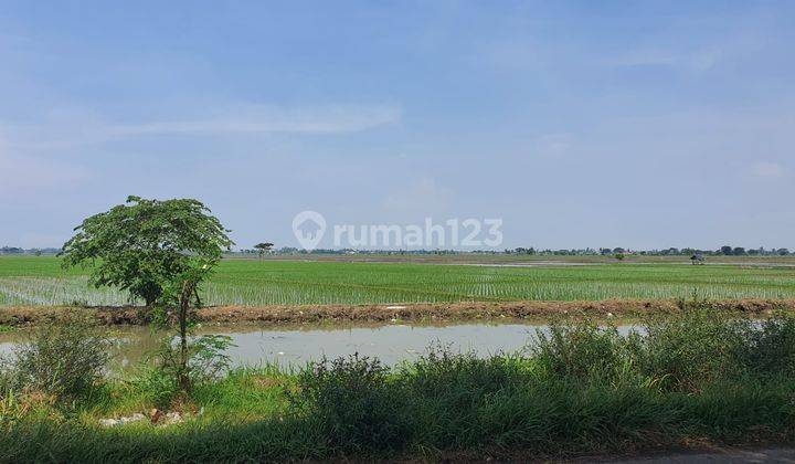 Dijual Tanah 2,3 Ha di Rengasdengklok Karawang Jawa Barat 1