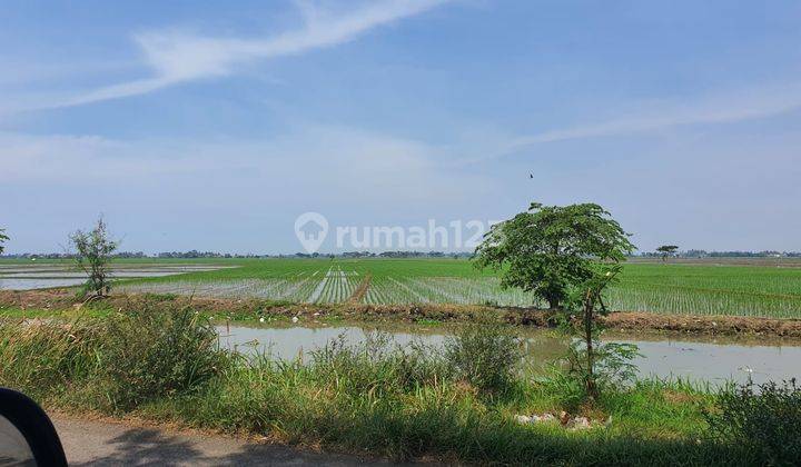 Dijual Tanah 2,3 Ha di Rengasdengklok Karawang Jawa Barat 2