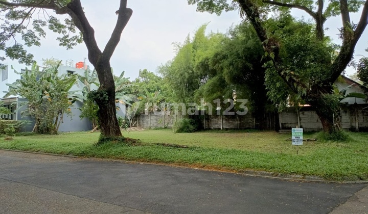 For Sale Cheapest Lavender Plots in Alam Sutera For Sale Cheapest Lavender Plots in Alam Sutera