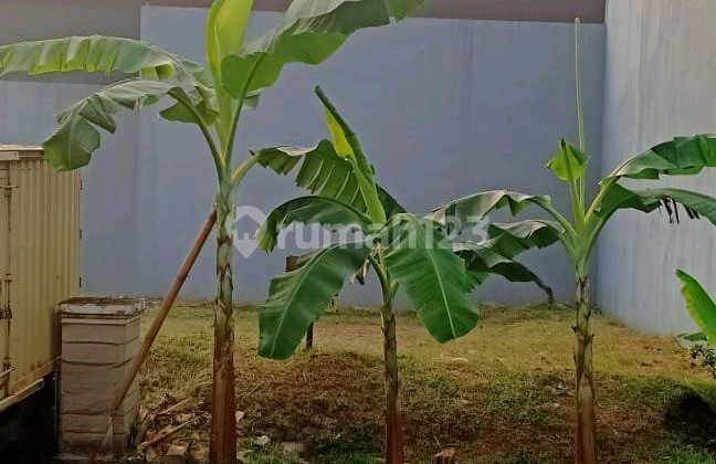 Kavling Bagus Lokasi Premium di Phg