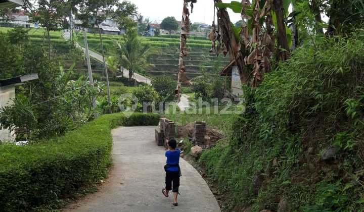 Tanah Strategis Siap Bangun Di Cipanas Bogor 2