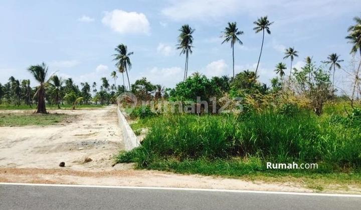 Kavling Pantai Untuk Pariwisata Bintan, Kepulauan Riau Kavling Pantai Untuk Pariwisata Bintan, Kepulauan Riau