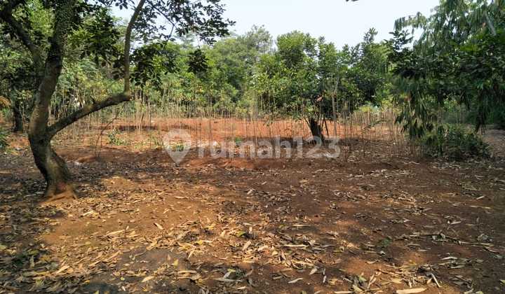 Strategic Land Near Mm2100 Cibitung Industrial Area, Negotiable Price Strategic Land Near Mm2100 Cibitung Industrial Area, Negotiable Price