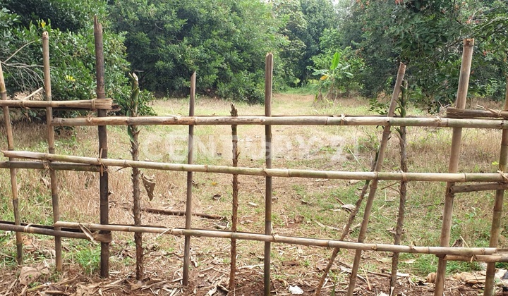 Pagaden Gunungsari Village Land, Subang Pagaden Gunungsari Village Land, Subang