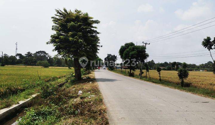 Dijual Kavling Sawah Luas Strategis Pinggir Jalan Raya Majalaya Karawang 2