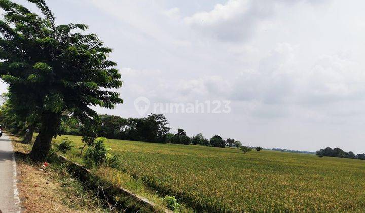 Dijual Kavling Sawah Luas Strategis Pinggir Jalan Raya Majalaya Karawang 2