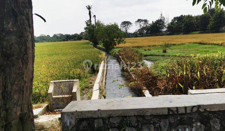 Dijual Kavling Sawah Luas Strategis Pinggir Jalan Raya Majalaya Karawang 2