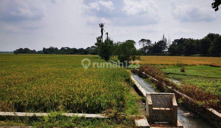 Dijual Kavling Sawah Luas Strategis Pinggir Jalan Raya Majalaya Karawang 2