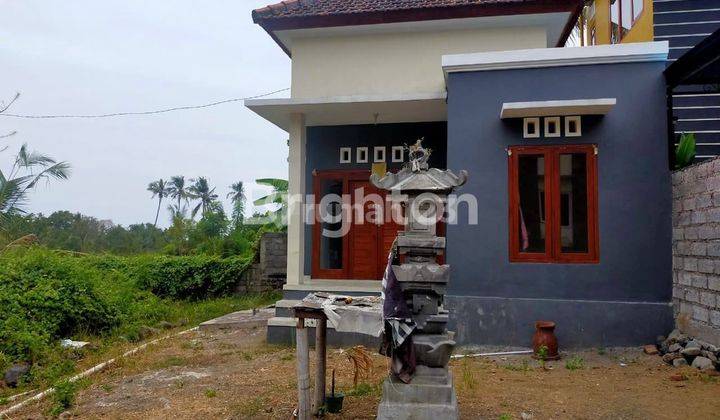 RUMAH MINIMALIS 2KT di SAMBANGAN BULELENG BALI 2