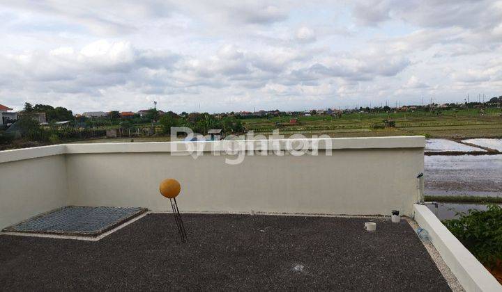 RUMAHVILLA 3BR PEMANDANGAN SAWAH STRATEGIS DENPASAR SELATAN BALI 2