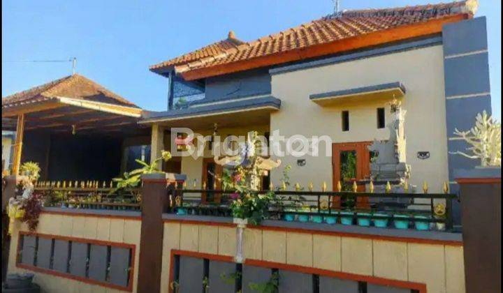 MINIMALIST and COMFORTABLE 3BR HOUSE in Banyuning Singaraja BALI 1