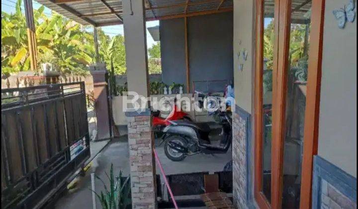 MINIMALIST and COMFORTABLE 3BR HOUSE in Banyuning Singaraja BALI 2