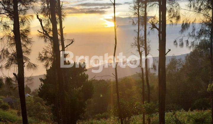 TANAH PREMIUM VIEW Danau Batur Sawah dan Pegunungan di KINTAMANI BALI 1