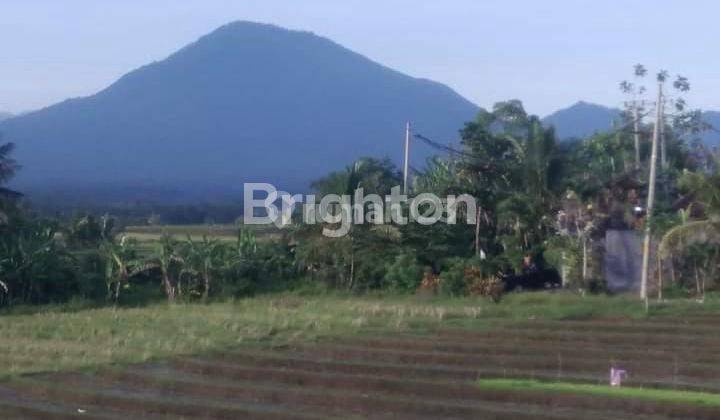 Rumahvilla Dekat Pantai Pemandangan Sawah Abadi Di Bajera Tabanan 2