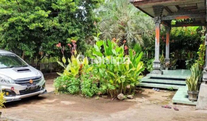 Rumah Minimalis Modern Sangat Asri, Strategis Di Buleleng Bali  2