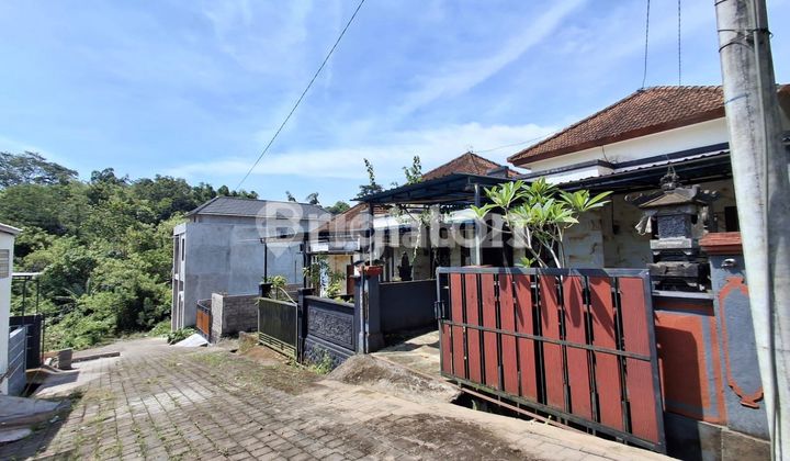 RUMAH 2KT Sangat STRATEGIS di Denbantas Tabanan BALI RUMAH 2KT Sangat STRATEGIS di Denbantas Tabanan BALI