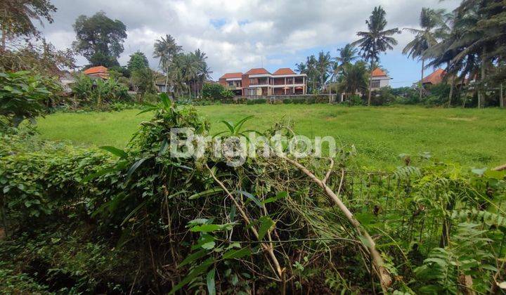 TANAH BONUS BANGUNAN HOTEL, LOKASINYA SANGAT STRATEGIS DI UBUD 2