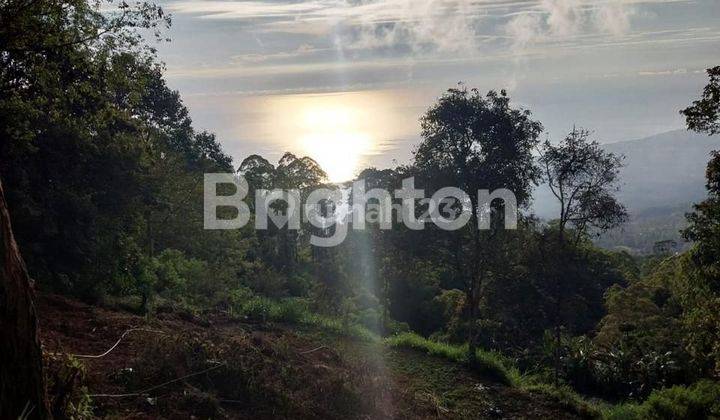 TANAH PREMIUM VIEW Danau Batur Sawah dan Pegunungan di KINTAMANI BALI 2