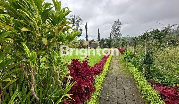 Villa Dengan Lahan Luas,rapi Dan Asri Di Danau Batur Bedugul Bali 2