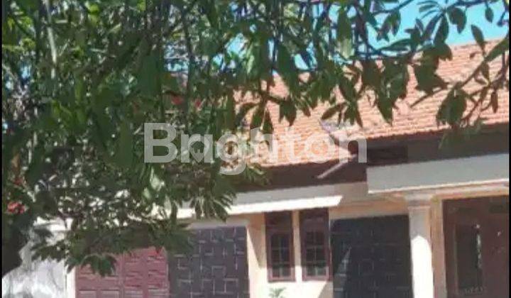 RUMAH 5KT DI KAWASAN BISNIS dan KULINER DI KOTA SINGARAJA BALI 1