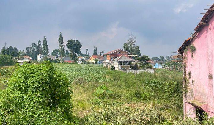 Kavling Puncak Ciherang Cianjur Jawa Barat 1