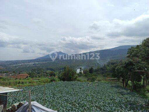 Tanah di Lembang Cocok Untuk Dibuat Villa, Tempat Wisata Dll 1