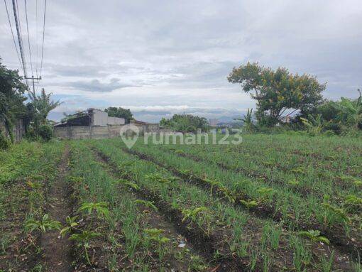 Tanah Mainroad Di Cigadung Dago Sebrang Swiss belleresort 2