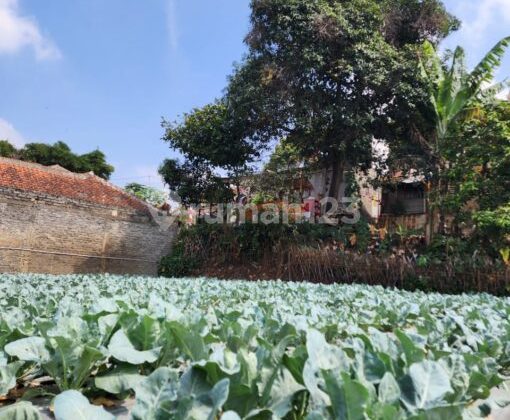 Tanah Jarang Ada di Sukawangi Dekat Dengan Setiabudi Regency Tanah Jarang Ada di Sukawangi Dekat Dengan Setiabudi Regency