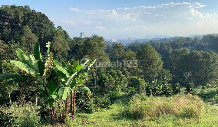 Tanah Di Jual Di Dago Pakar Buni Wangi 1