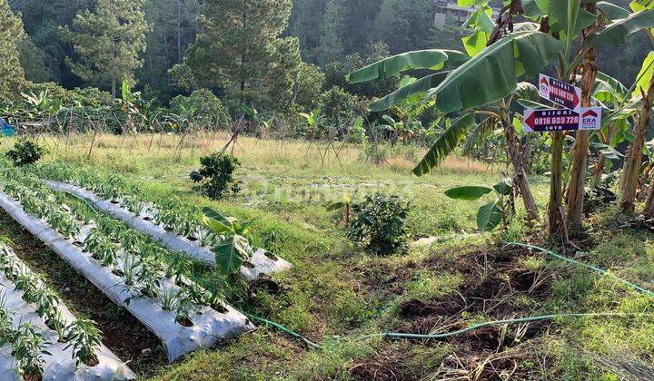 Tanah Di Jual Di Dago Pakar Buni Wangi 2