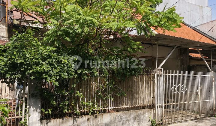 Old House in Tanjung Duren Complex Old House in Tanjung Duren Complex