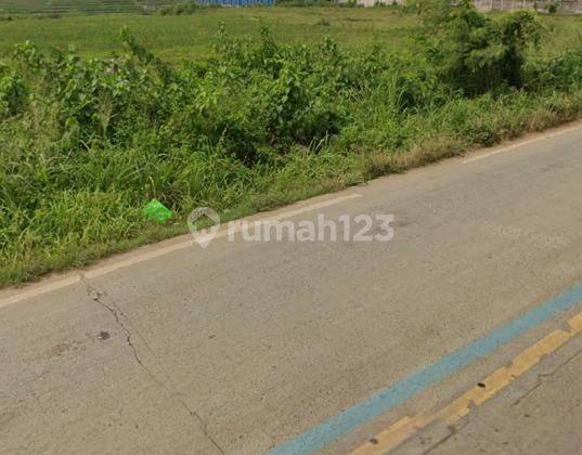 Dijual Tanah Dipinggir Jalan Raya Cikande Tangerang Banten 2
