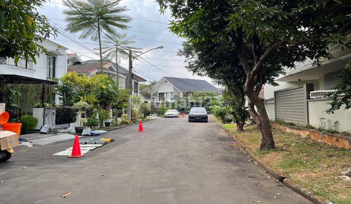 Maleo Dekat Masjid Besar Bintaro Jaya 9 2