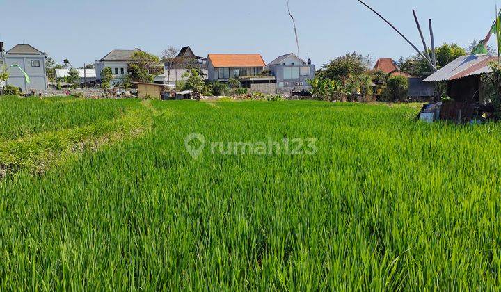 Tanah di Jalan Raya Kedampang, Badung SHM 200 are 5