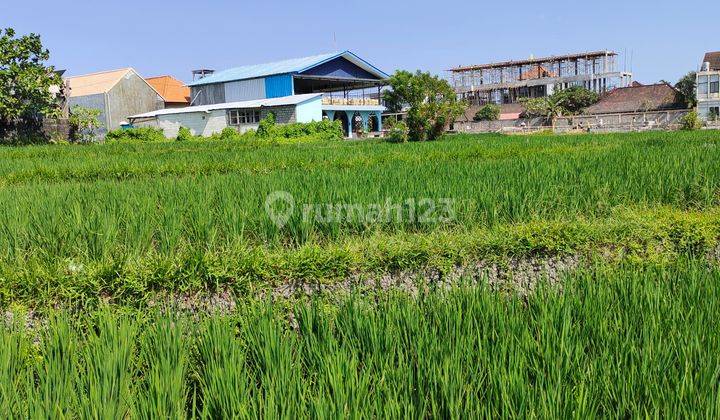 Tanah di Jalan Raya Kedampang, Badung SHM 200 are 6