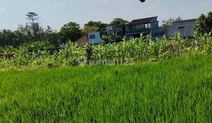 Tanah di Jalan Raya Kedampang, Badung SHM 200 are 8