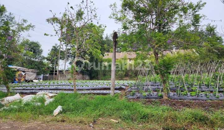 Tanah Hokie Dijual di Setiabudi Bandung 