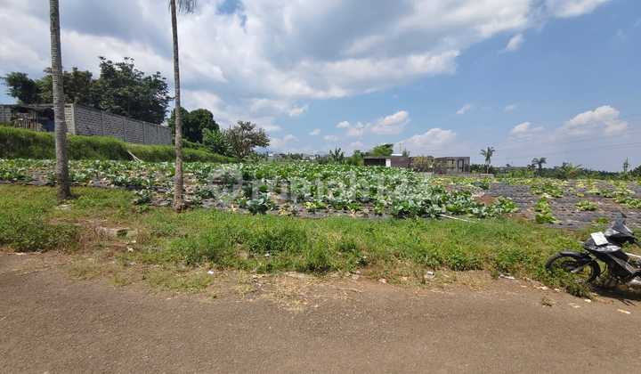 TERMURAH ! Tanah Siap bangun Bebas Banjir dan Strategis di Setiabudi Indah Bandung!