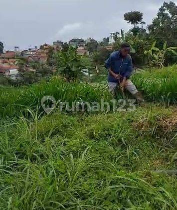 Tanah Luas Dan Murah Siap Bangun di Kawasan Bandung Barat 1