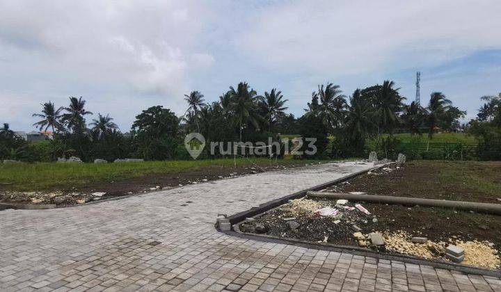 Tanah Kavling Tabanan Siap Bangun Dengan Keindahan View Sawahnya 2