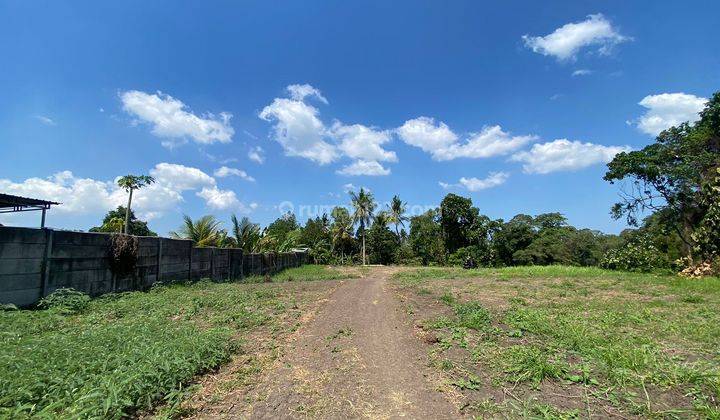 Tanah Siap Bangun Di Daerah Yeh Gangga Bongan Tabanan 2