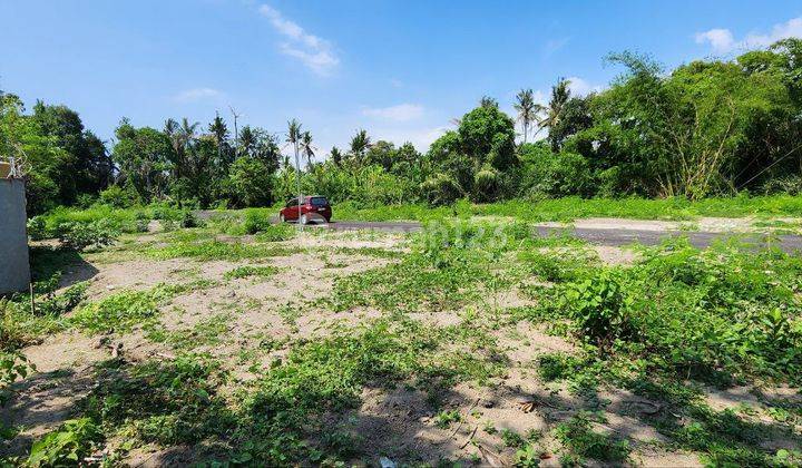 House with a minimalist concept in the Pering area of Gianyar 2